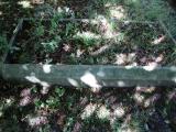 image of grave number 759468